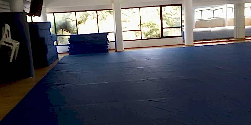 Spor Salonu Minderleri